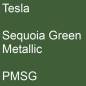 Preview: Tesla, Sequoia Green Metallic, PMSG.